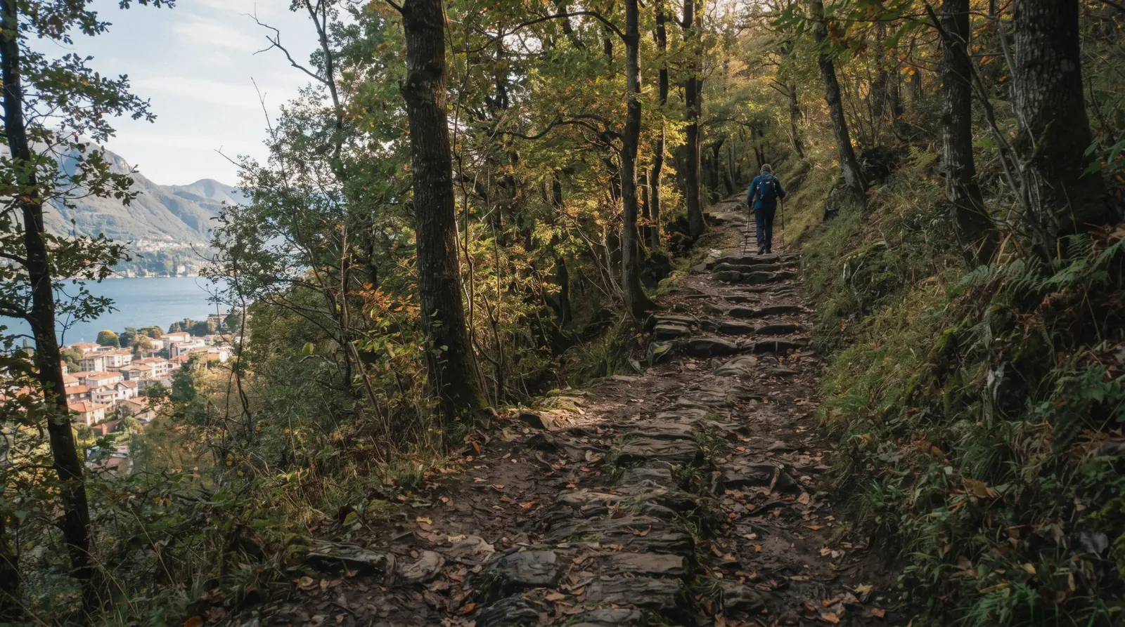 Worn stone steps of an old mule track in chestnut woods on the hillside above Como, the Como to Brunate walk